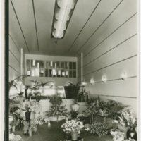 J.R. Davidson: Schilling&#039;s Flower Store (Los Angeles, Calif.)